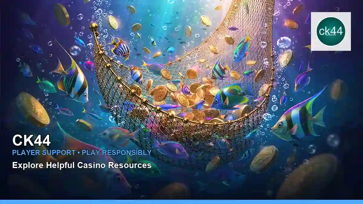 CK44 প্লেয়ার সহায়তা ও responsible gaming | Bangladesh guide — responsible play · 4 — gates of olympus
